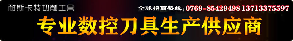 耐斯卡特切削工具 銑銷(xiāo)類(lèi)產(chǎn)品全國(guó)銷(xiāo)量領(lǐng)先